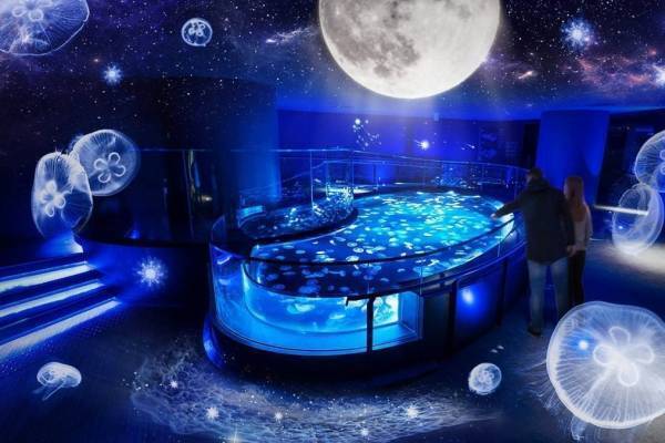 すみだ水族館の期間限定演出「月とクラゲ」光や音とともにクラゲ約500匹＆満月がシンクロ