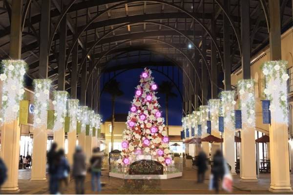 全国9か所のプレミアム・アウトレットで2020年冬のイルミネーション＆最大70％オフのセール