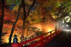 ホテル椿山荘東京“紅葉＆雲海”秋のライトアップ、ロマンティックに色づくモミジやケヤキなど