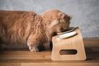 猫用木製家具ブランド「カリモクキャット」“猫が心地よく食事できる”キャットテーブル新登場