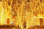 「2020 SENDAI光のページェント」仙台・定禅寺通を約60万球で照らすイルミネーション