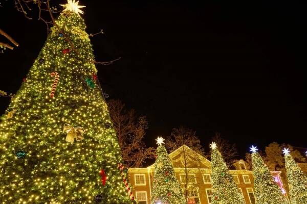 ハウステンボス「光の街のクリスマス」イルミネーション輝くクリスマスタウンや夜空を彩る花火