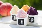アイスクリーム万博「あいぱく KOBE」大丸神戸店に全国各地のご当地アイスが集結
