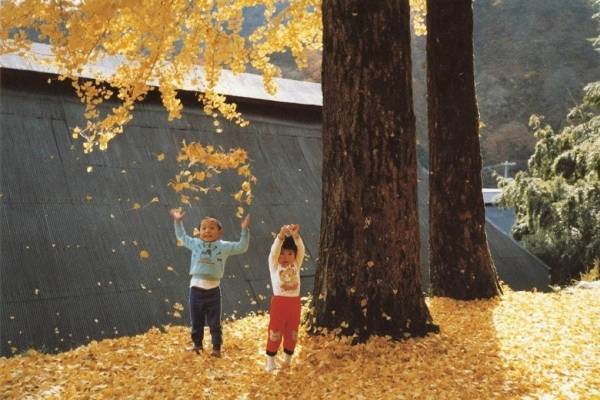 東京都美術館の企画展「Walls＆Bridges」人生の“壁”を芸術活動に昇華した5人に焦点