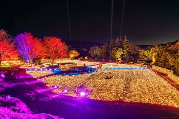 小田原「一夜城イルミネーション」華やか“黄金色”の輝きで城内を彩る