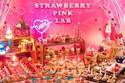 ANAクラウンプラザホテル福岡、“いちごの研究所”テーマの苺デザートビュッフェ