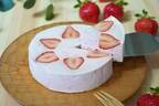 チーズケーキ専門店「フォルマ」“苺＆柚子レモン”の限定レアチーズケーキ、なめらかなクリームチーズ
