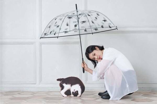Wpc.×猫写真家・沖昌之の“ねこ柄”ビニール傘、茶トラ猫や“ぶさかわ”猫が一面に