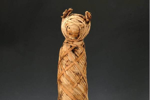 『特別展 ミイラ 「永遠の命」を求めて』福岡・大阪で、世界中のミイラが一堂に集結＆謎を解明