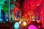 茨城・水戸「チームラボ 偕楽園 光の祭」日本三名園の梅1,500本が光り輝くデジタルアート空間