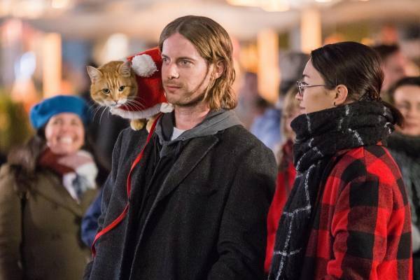 映画『ボブという名の猫２ 幸せのギフト』クリスマスに起きた青年×猫の感動実話を描く