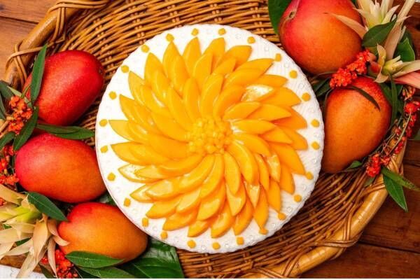 キル フェ ボン“幻のマンゴー”の限定タルト、日本で唯一冬に出荷される「白銀の太陽」を使用