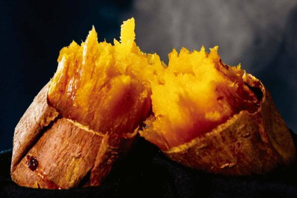 “ほくほく焼き芋”を食べながら鹿児島市内を巡る路面電車「マグマやきいも電車」安納芋など4種を食べ比べ