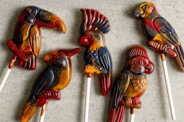 熱帯の野鳥がチョコレートに！マレーン・クーチャンスのバレンタイン2021