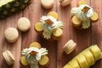 フレデリック・カッセル“トロピカルフルーツ”の新作ケーキ＆マカロン、パイナップルやマンゴーを使用