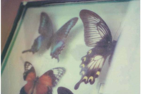 蜷川実花ポラロイド写真展「escape」新宿で、マーブルデニッシュ専門店グランマーブルとコラボも