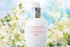 ロクシタン純白花の恵み「レーヌブランシュ」薬用美白美容液が進化、光に満ちた“レフ板肌”に
