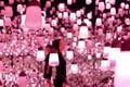 お台場「チームラボボーダレス」“桜色”輝くランプや菜の花＆牡丹が咲く映像作品など春限定展示