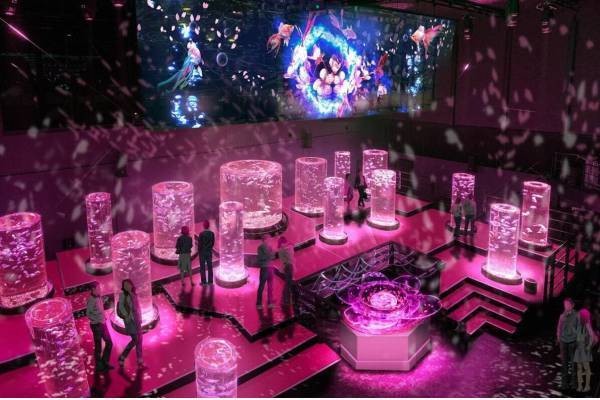 アートアクアリウム美術館“桜色の空間”で金魚とお花見、春イベント「桜金魚 舞い泳ぐ」日本橋で