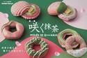 ミスド×祇園辻利の新作は「咲く抹茶」、桜あんやわらびもちを合わせた限定ドーナツ