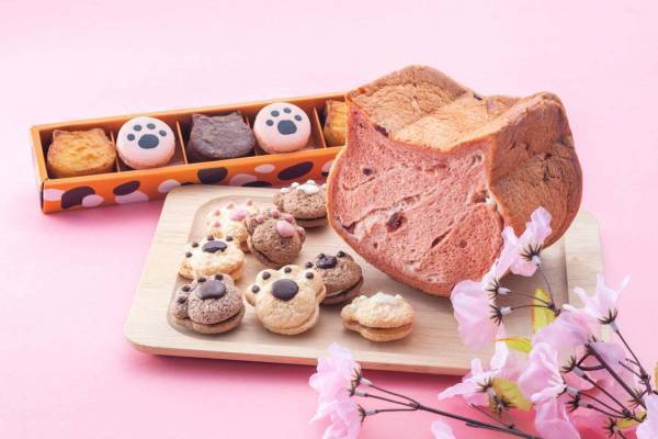 ねこ型食パン&肉球モチーフの焼菓子入り「春のいろねこセット」大阪新阪急ホテルで
