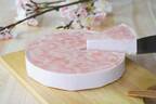 フォルマ“桜がふわりと香る”いちごのレアチーズケーキ、期間限定で登場