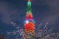 グッチ×東京タワーのライトアップ「グッチ ハナミ」お花見気分を楽しむ期間限定ARも