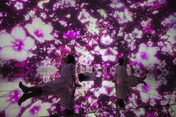 豊洲「チームラボプラネッツ」に“燃え盛る炎”の新作アート、“桜の花”が広がる春限定アートも