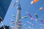 東京スカイツリータウン“都内最大級”約1,000匹のこいのぼりが泳ぐ「こいのぼりフェスティバル」