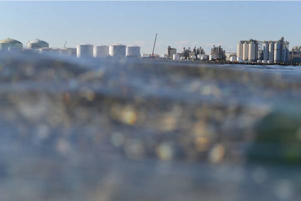 「千の葉の芸術祭」千葉市内でアートフェス、川内倫子ら参加の写真展や茶の湯テーマの展覧会