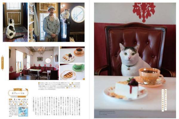 書籍『喫茶店の本 横浜・鎌倉・湘南』名喫茶のパフェ&ナポリタン特集、看板ねこの紹介も