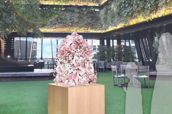 東急プラザ銀座屋上「キリコテラス」“花見気分”味わえる桜アートを期間限定で展示