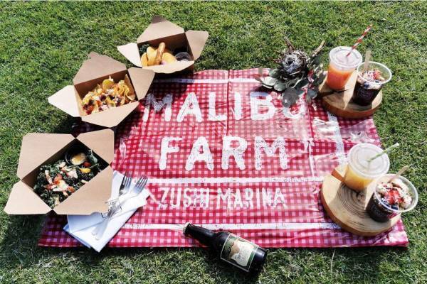 LA発レストラン「マリブファーム 逗子マリーナ」がハワイフェスに、芝生で楽しむピクニックランチ