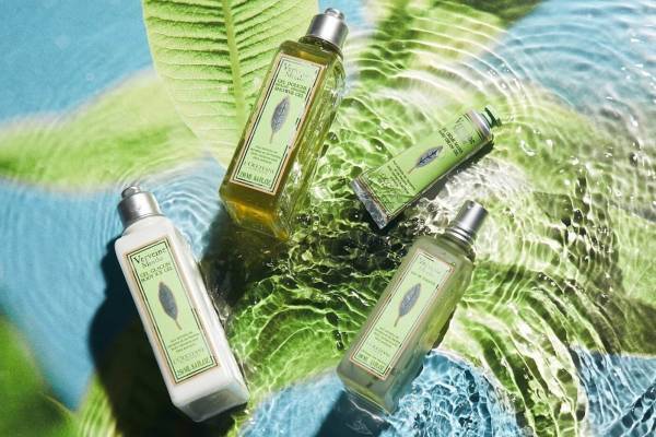 ロクシタン夏の限定シリーズ「ミントヴァーベナ」が定番化、オードトワレやソルベボディジェルなど4種