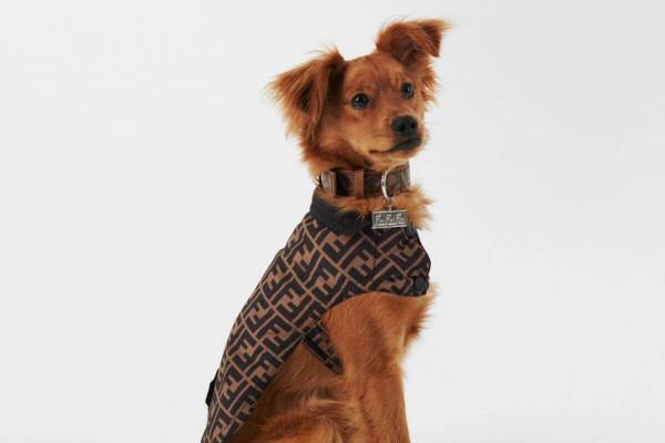 フェンディのペット用アクセサリー“FFロゴ”入りドッグコート＆首輪、ストラップ付きバッグも