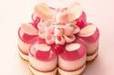 「バターステイツ」母の日限定“カーネーション”ケーキ、甘酸っぱいベリームースなど8層仕立て
