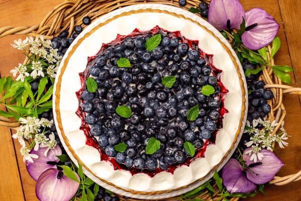 キル フェ ボンからブルーベリーの限定タルト、ヨーグルトやチョコレートを合わせた全5種