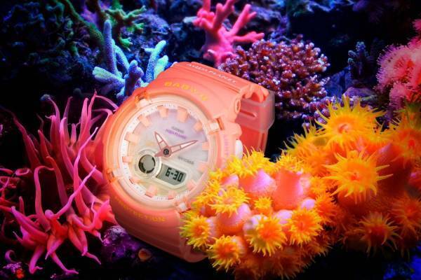 BABY-G“サンゴ”モチーフの新作腕時計、コーラルオレンジのケース＆グラデーション文字板