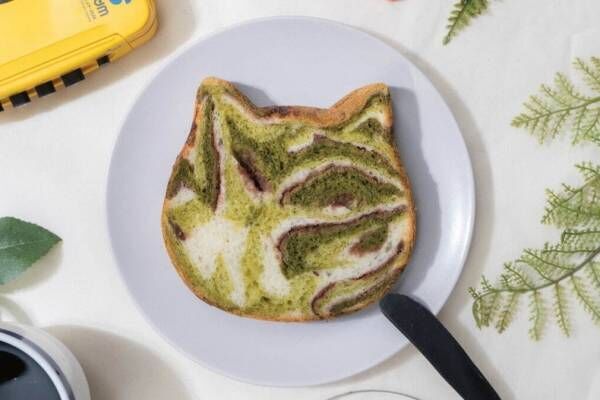 ねこねこ食パン×フリークスストアコラボ“カモ柄”のネコ型食パン、抹茶＆餡の和フレーバー