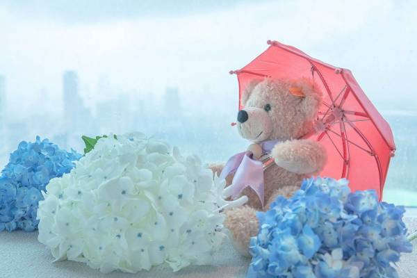 ザ・プリンスギャラリー 東京紀尾井町、シュタイフのテディベアとキャンプ気分を楽しむ限定宿泊プラン