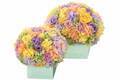 ニコライ バーグマンの夏限定フラワーボックス、コーラルグリーンのボックスにパステルカラーの花々
