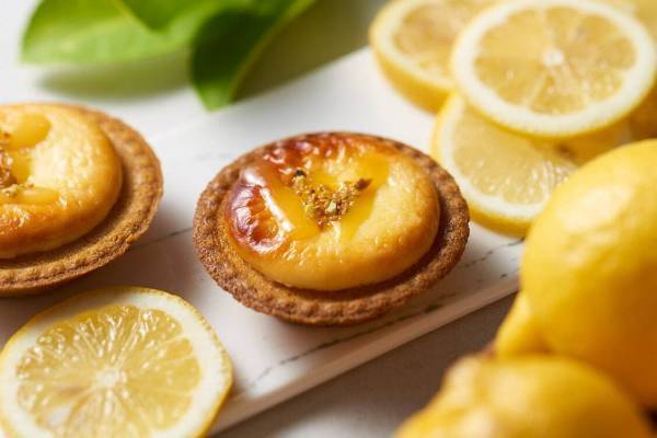ベイク チーズタルト夏の新作「潮風レモンチーズタルト」ほんのり塩味を効かせた爽やかチーズムース