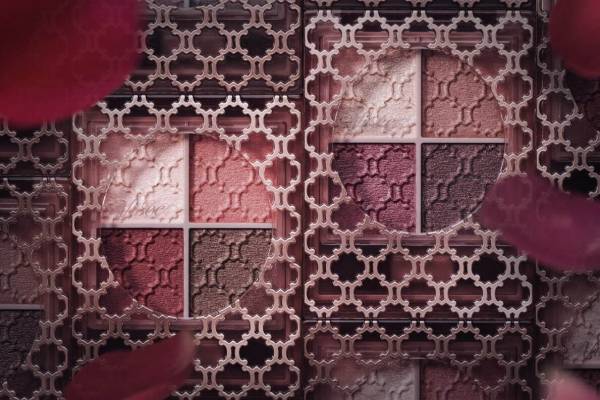 ヴィセ リシェ21年秋コスメ、人気No.1アイカラーに“こっくり”レッド＆洗練くすみピンク