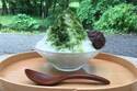 静岡茶のかき氷「茶氷」静岡全域で開催、“お茶”を使ったかき氷が伊豆～浜松の計71店舗に