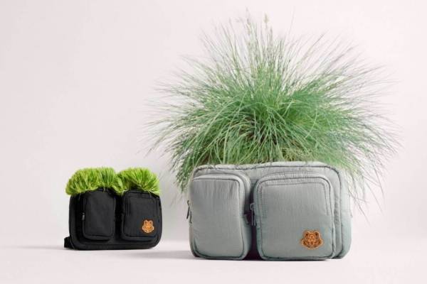 ケンゾー「タイガークレスト」太陽のようなオレンジ“トラエンブレム”のデイリーウェア＆バッグ