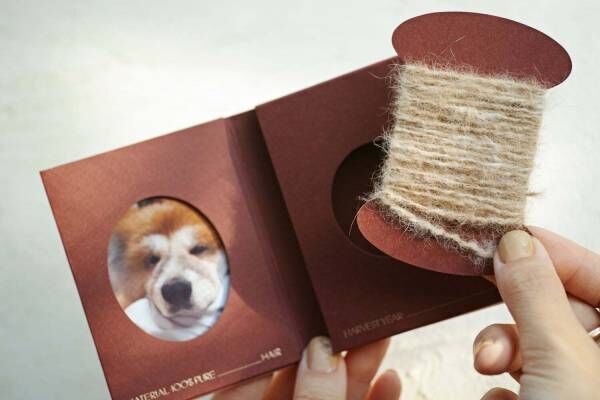 “愛犬の抜け毛”100%で糸を作る新商品「SPINNING MEMORIES」柏の葉T-SITEで