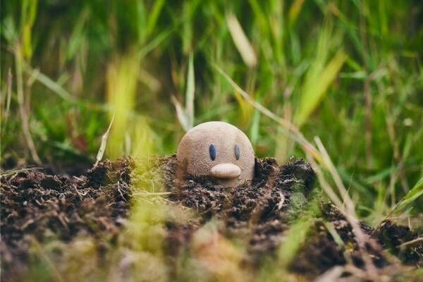 ポケモンを探す 自然アドベンチャー ポケモンワンダー よみうりランド内の森を調査隊になって探索 21年7月4日 ウーマンエキサイト 1 4