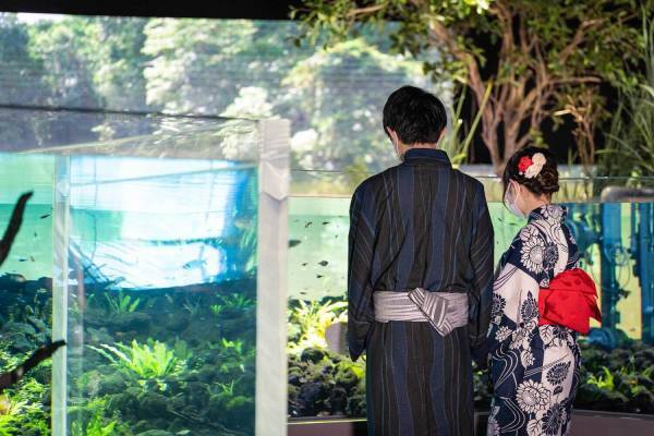 カワスイ夏の特別企画展示「さかなたちのカワスイ夏祭り」夏祭りがテーマの水槽展示やグルメ