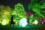 京都・東寺でチームラボ“光のアート”イベント、人と光と音が連なる幻想的空間