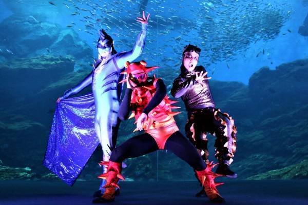 仙台うみの杜水族館のナイトイベント「シートピア」イルカ×ダンス×映像の没入型ショーを閉館後の館内で